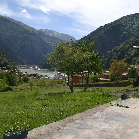 Cay * Uzungol