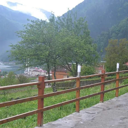 Cay * Uzungol