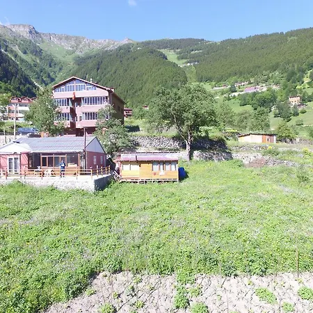 Cay * Uzungol
