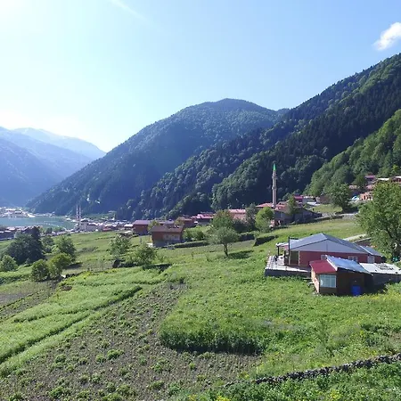Cay * Uzungol