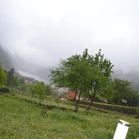 Cay * Uzungol